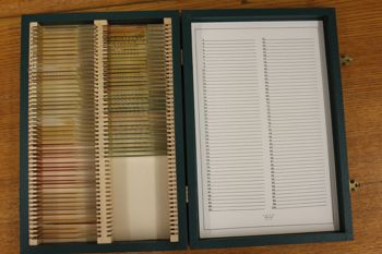 Media type: image;   Special Collections 4350 shows cataloged_item 4351 shows cataloged_item 4352 shows cataloged_item 4353 shows cataloged_item 4354 shows cataloged_item 4355 shows cataloged_item 4356 shows cataloged_item 4357 shows cataloged_item 4358 shows cataloged_item 4359 shows cataloged_item 4360 shows cataloged_item 4361 shows cataloged_item 4362 shows cataloged_item 4363 Description: Documentation photo of Wilder folder/label B2;